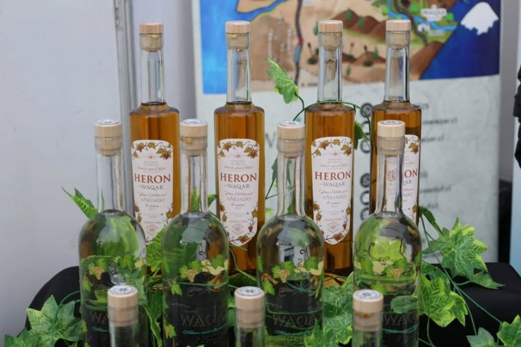 Chile brinda por su tradición: Día Nacional del Pisco celebra identidad, cultura y futuro del destilado nacional