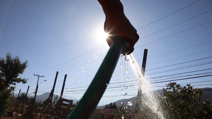 Gobierno Regional activa Plan Caprino para apoyar a más de 4 mil crianceros