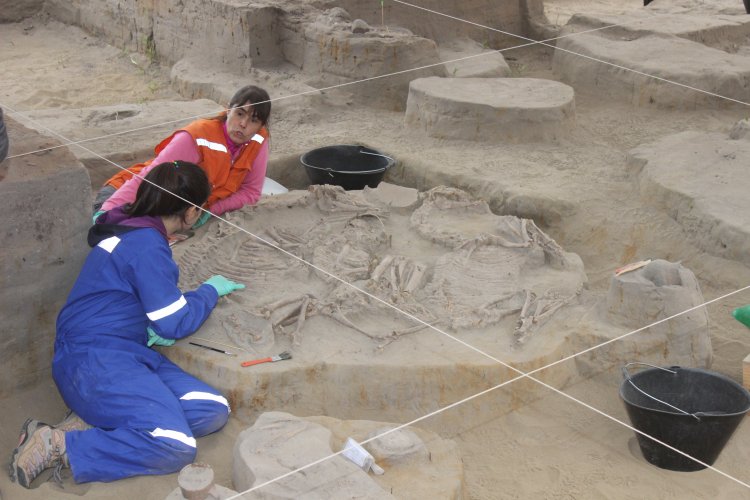 RESTOS ARQUEOLÓGICOS HALLADOS EN OBRAS DE DOBLE VIA LA SERENA – VALLENAR CORRESPONDEN A TRES CULTURAS PREHISPÁNICAS RESTOS ARQUEOLÓGICOS HALLADOS EN OBRAS DE DOBLE VIA LA SERENA – VALLENAR CORRESPONDEN A TRES CULTURAS PREHISPÁNICAS