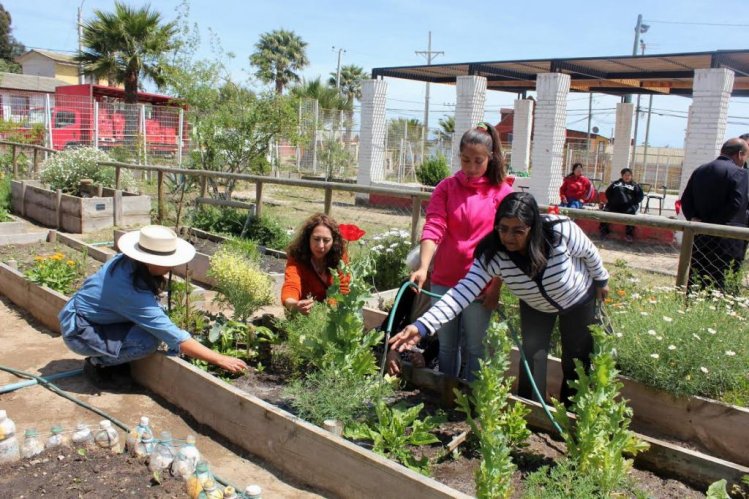 Comunidad y colaboración