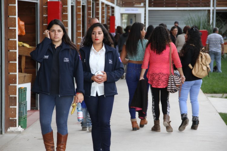 NUEVA PLAZA DE ABASTOS DE ILLAPEL ABRE SUS PUERTAS PARA FERIANTES Y EMPRENDEDORES NUEVA PLAZA DE ABASTOS DE ILLAPEL ABRE SUS PUERTAS PARA FERIANTES Y EMPRENDEDORES