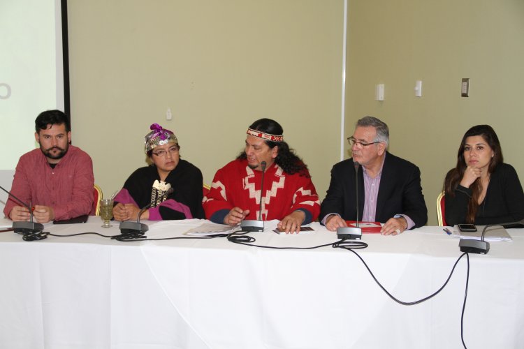 DIRIGENTES INDÍGENAS Y AUTORIDADES LOCALES LLAMARON A PUEBLOS ORIGINARIOS A PARTICIPAR EN CABILDO REGIONAL DIRIGENTES INDÍGENAS Y AUTORIDADES LOCALES LLAMARON A PUEBLOS ORIGINARIOS A PARTICIPAR EN CABILDO REGIONAL