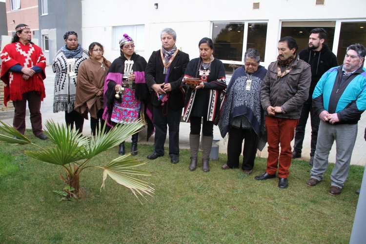 DIRIGENTES INDÍGENAS Y AUTORIDADES LOCALES LLAMARON A PUEBLOS ORIGINARIOS A PARTICIPAR EN CABILDO REGIONAL DIRIGENTES INDÍGENAS Y AUTORIDADES LOCALES LLAMARON A PUEBLOS ORIGINARIOS A PARTICIPAR EN CABILDO REGIONAL