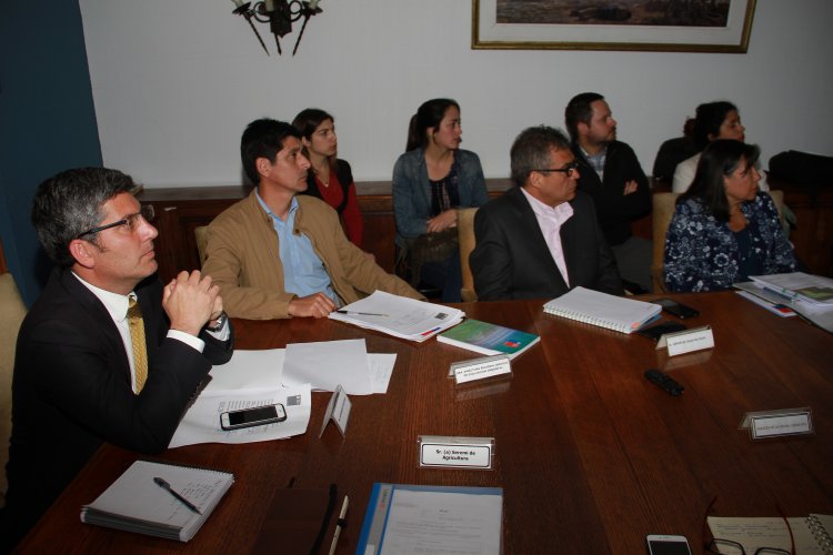 GOBIERNO APRUEBA NUEVO PARQUE DE ENERGÍA SOLAR QUE INVERTIRÁ 200 MILLONES DE DÓLARES EN LA HIGUERA GOBIERNO APRUEBA NUEVO PARQUE DE ENERGÍA SOLAR QUE INVERTIRÁ 200 MILLONES DE DÓLARES EN LA HIGUERA