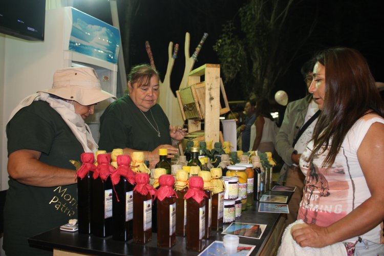 EXPO REGIÓN DE COQUIMBO 2017: SE CONSOLIDA COMO LA VITRINA DEL EMPRENDIMIENTO MÁS IMPORTANTE DE LA ZONA NORTE EXPO REGIÓN DE COQUIMBO 2017: SE CONSOLIDA COMO LA VITRINA DEL EMPRENDIMIENTO MÁS IMPORTANTE DE LA ZONA NORTE