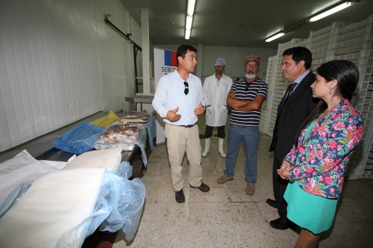 PESCADORES ARTESANALES DE GUAYACÁN REIMPULSAN LA PRODUCCIÓN DE JIBIA DANDO VALOR AGREGADO PESCADORES ARTESANALES DE GUAYACÁN REIMPULSAN LA PRODUCCIÓN DE JIBIA DANDO VALOR AGREGADO