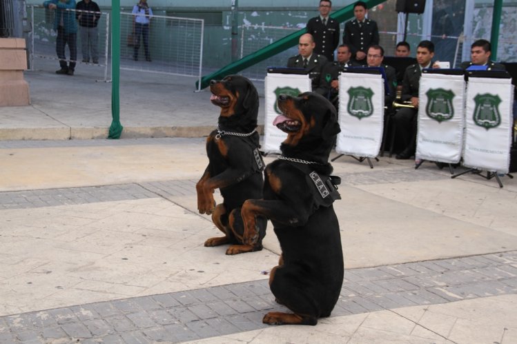 GENDARMERÍA REALIZA SU CUENTA PÚBLICA INSTITUCIONAL EN LA REGIÓN DE COQUIMBO