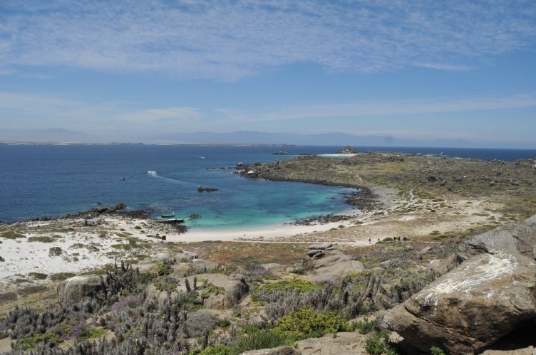 GOBIERNO ANUNCIA PRÓXIMO CIERRE TEMPORAL DE LA RESERVA NACIONAL PINGÜINO DE HUMBOLDT