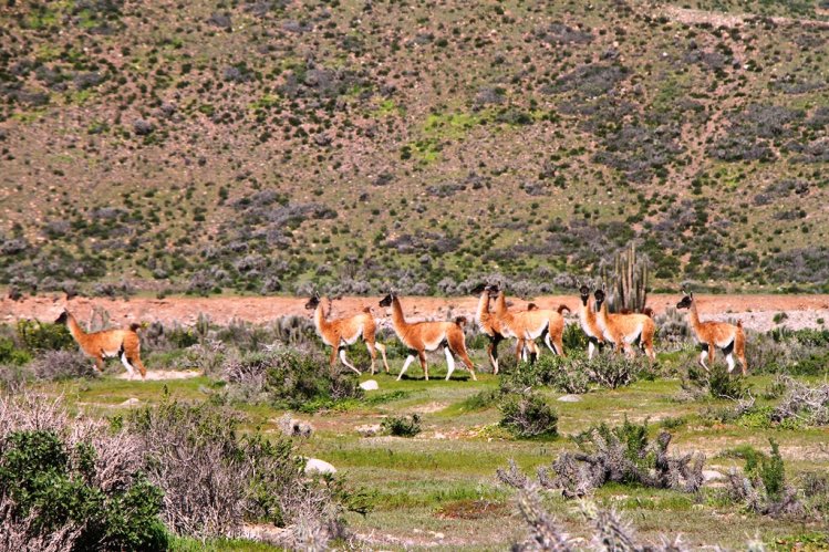 BELLEZAS NATURALES PROMUEVEN EL TURISMO EN LA HIGUERA PARA VACACIONES DE INVIERNO