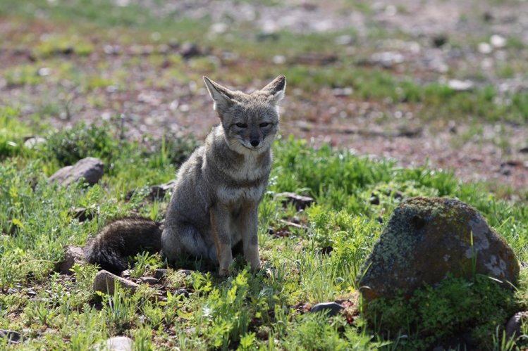 BELLEZAS NATURALES PROMUEVEN EL TURISMO EN LA HIGUERA PARA VACACIONES DE INVIERNO