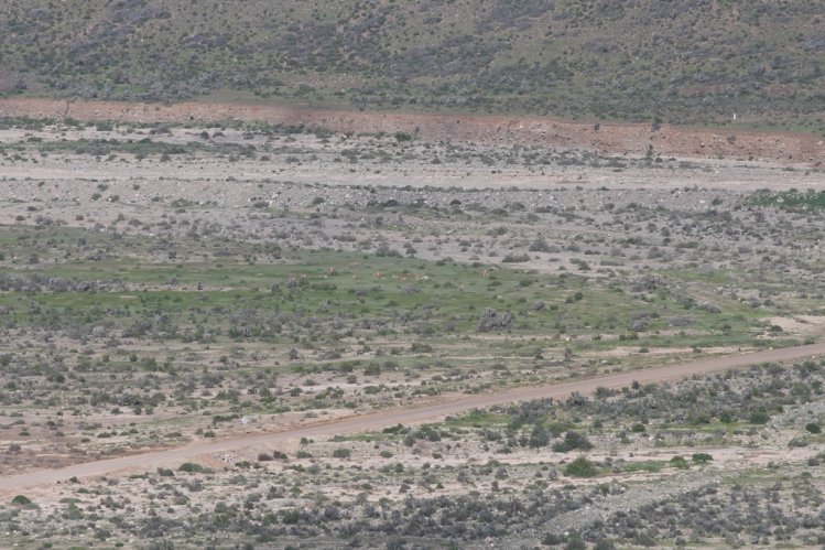 BELLEZAS NATURALES PROMUEVEN EL TURISMO EN LA HIGUERA PARA VACACIONES DE INVIERNO