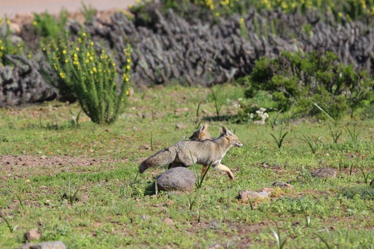 BELLEZAS NATURALES PROMUEVEN EL TURISMO EN LA HIGUERA PARA VACACIONES DE INVIERNO