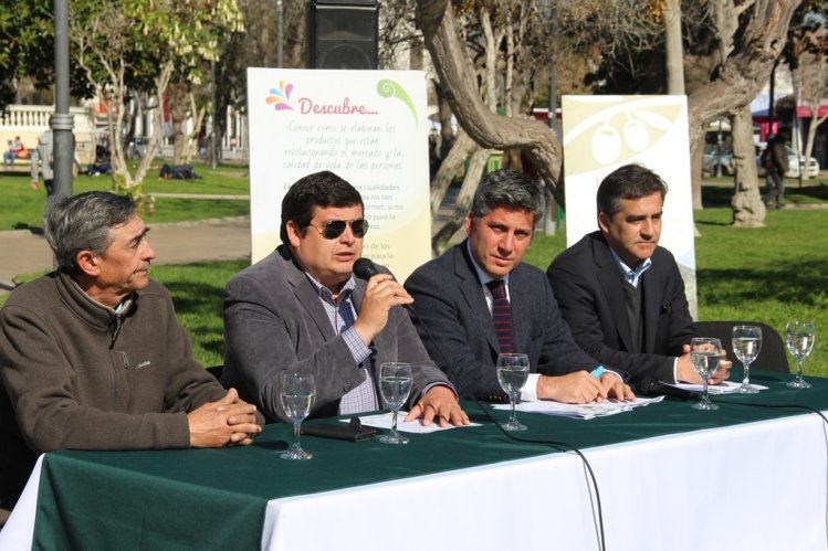 AUTORIDADES INVITAN A LA TRADICIONAL FIESTA DE LA ACEITUNA 2017