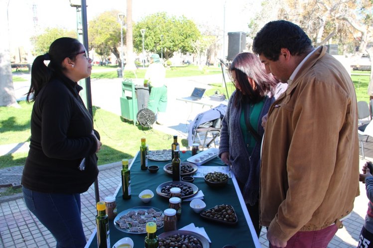 AUTORIDADES INVITAN A LA TRADICIONAL FIESTA DE LA ACEITUNA 2017