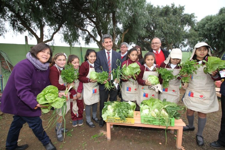 GOBIERNO PROPONE INCLUIR EL MEDIO AMBIENTE Y EL CAMBIO CLIMÁTICO COMO NUEVO CONTENIDO EDUCATIVO