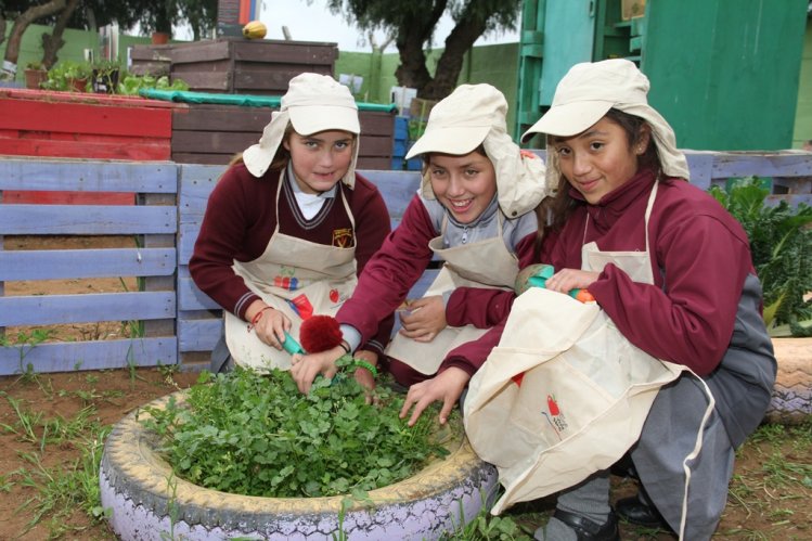 GOBIERNO PROPONE INCLUIR EL MEDIO AMBIENTE Y EL CAMBIO CLIMÁTICO COMO NUEVO CONTENIDO EDUCATIVO