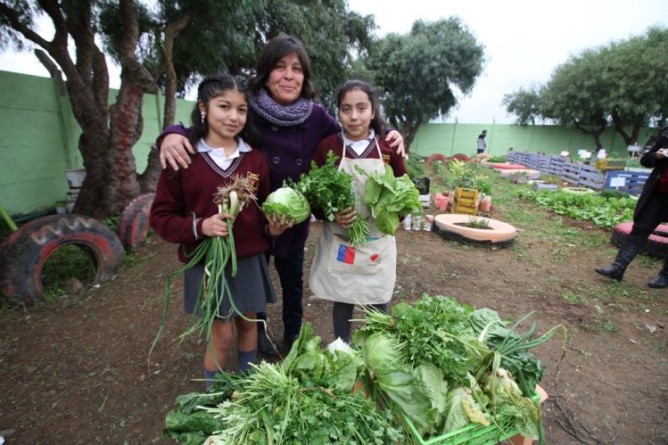 GOBIERNO PROPONE INCLUIR EL MEDIO AMBIENTE Y EL CAMBIO CLIMÁTICO COMO NUEVO CONTENIDO EDUCATIVO