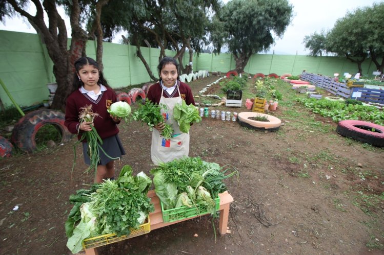 GOBIERNO PROPONE INCLUIR EL MEDIO AMBIENTE Y EL CAMBIO CLIMÁTICO COMO NUEVO CONTENIDO EDUCATIVO