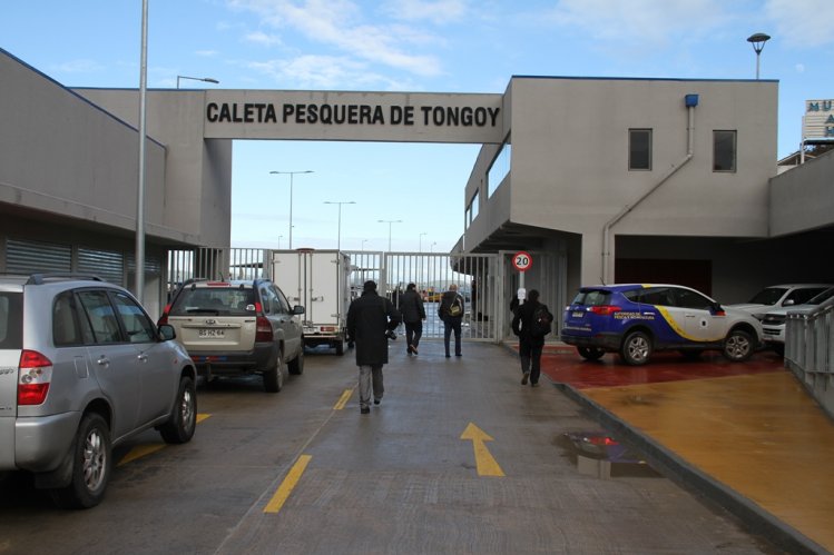 CERCA DE 900 PESCADORES DE TONGOY CUENTAN CON NUEVA CALETA