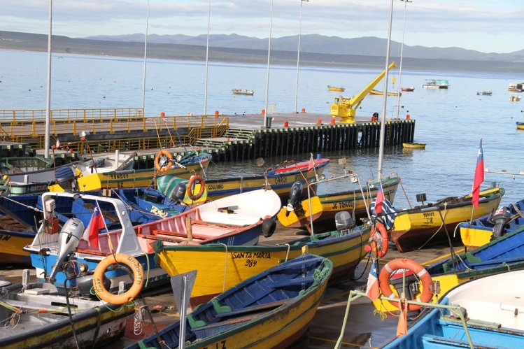 CERCA DE 900 PESCADORES DE TONGOY CUENTAN CON NUEVA CALETA