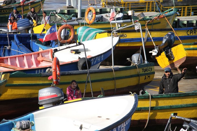 CERCA DE 900 PESCADORES DE TONGOY CUENTAN CON NUEVA CALETA