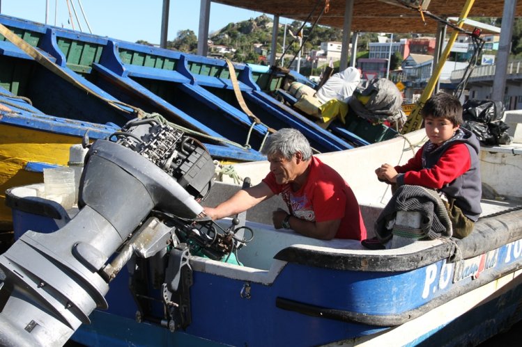 CERCA DE 900 PESCADORES DE TONGOY CUENTAN CON NUEVA CALETA