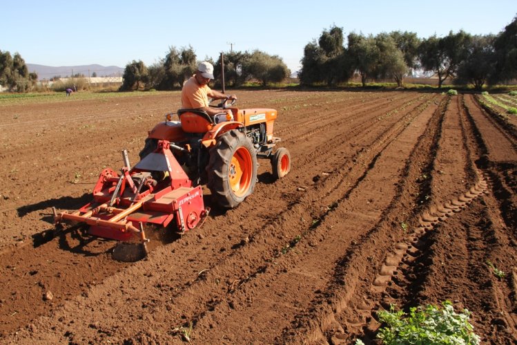 DIVERSIFICACIÓN PRODUCTIVA E INNOVACIÓN SON CLAVE PARA ABORDAR EFECTOS DEL CAMBIO CLIMÁTICO EN LA AGRICULTURA