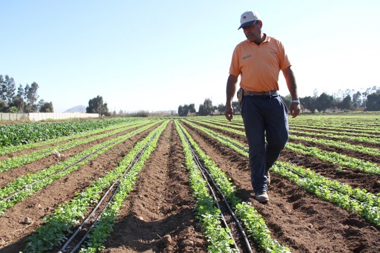 DIVERSIFICACIÓN PRODUCTIVA E INNOVACIÓN SON CLAVE PARA ABORDAR EFECTOS DEL CAMBIO CLIMÁTICO EN LA AGRICULTURA