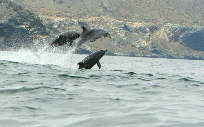 CONGRESO INTERNACIONAL DE ÁREAS MARINAS PROTEGIDAS REUNIRÁ A EXPERTOS PARA LA CONSERVACIÓN DE OCÉANOS