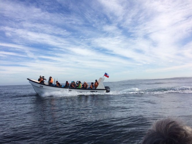 CONGRESO INTERNACIONAL DE ÁREAS MARINAS PROTEGIDAS IMPAC 4 ABRIÓ SUS PUERTAS CON VISITAS DE EXPERTOS INTERNACIONALES A ÁREAS PROTEGIDAS