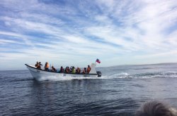 CONGRESO INTERNACIONAL DE ÁREAS MARINAS PROTEGIDAS IMPAC 4 ABRIÓ SUS PUERTAS CON VISITAS DE EXPERTOS INTERNACIONALES A ÁREAS PROTEGIDAS