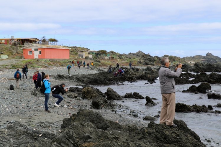 CIENTÍFICOS DE TODO EL MUNDO VISITARON RESERVA NACIONAL PINGÜINO DE HUMBOLDT