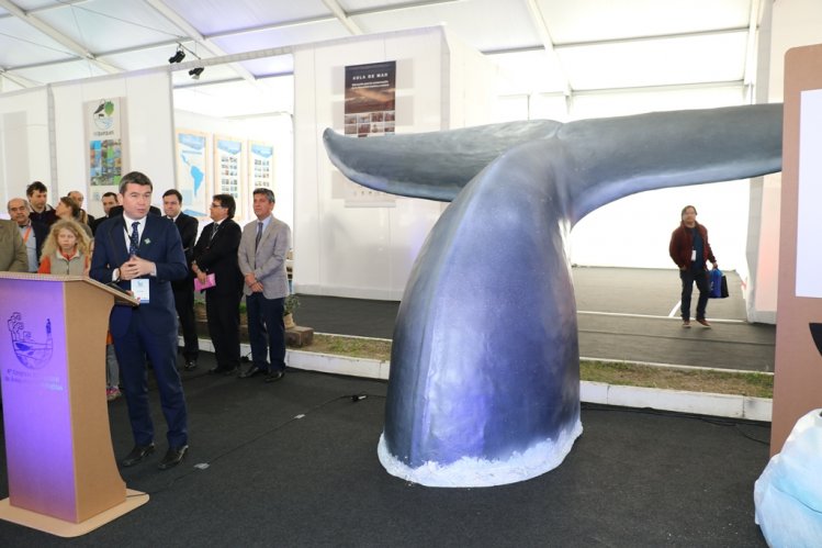 PABELLÓN CHILENO EN IMPAC 4 ABORDA AVANCES Y DESAFÍOS NACIONALES EN MATERIA DE ÁREAS MARINAS PROTEGIDAS PABELLÓN CHILENO EN IMPAC 4 ABORDA AVANCES Y DESAFÍOS NACIONALES EN MATERIA DE ÁREAS MARINAS PROTEGIDAS
