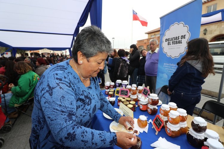 GOBIERNO REGIONAL Y FOSIS ENTREGAN $400 MILLONES A 160 EMPRENDEDORES DE LA ZONA