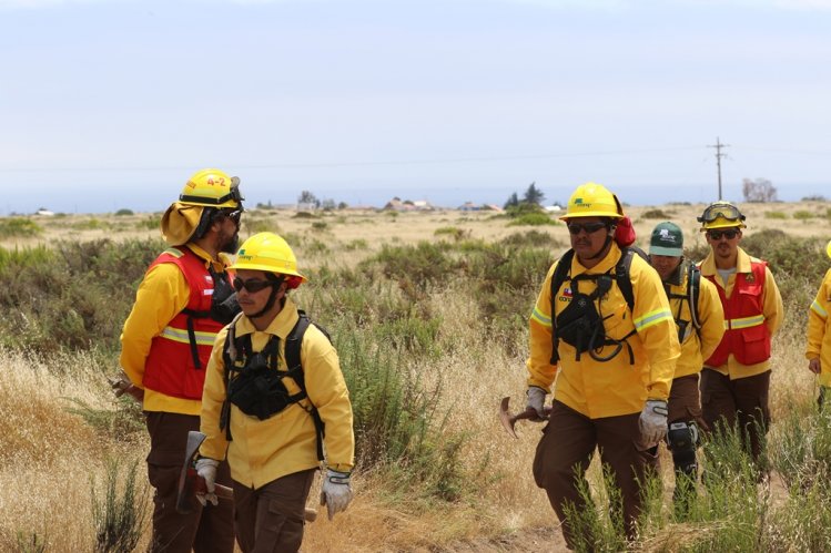 GOBIERNO LLAMA A ADOPTAR MEDIDAS PARA PREVENIR INCENDIOS FORESTALES