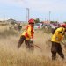 GOBIERNO LLAMA A ADOPTAR MEDIDAS PARA PREVENIR INCENDIOS FORESTALES