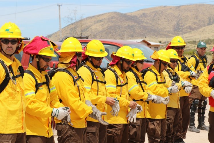 GOBIERNO LLAMA A ADOPTAR MEDIDAS PARA PREVENIR INCENDIOS FORESTALES