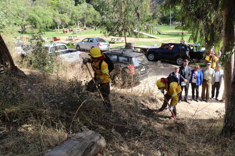 ADVIERTEN SOBRE LAS PENAS A LAS QUE SE EXPONEN QUIENES CAUSEN INCENDIOS