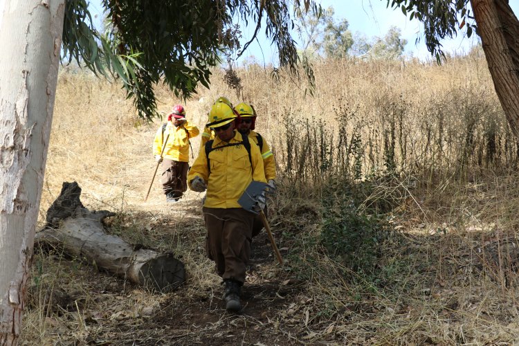 ADVIERTEN SOBRE LAS PENAS A LAS QUE SE EXPONEN QUIENES CAUSEN INCENDIOS