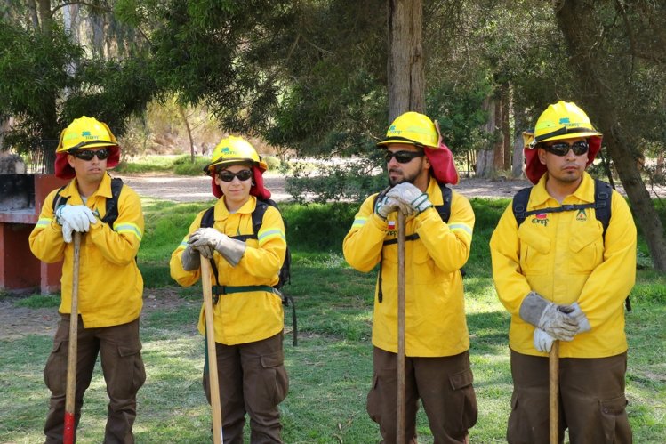 ADVIERTEN SOBRE LAS PENAS A LAS QUE SE EXPONEN QUIENES CAUSEN INCENDIOS