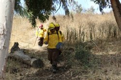 ADVIERTEN SOBRE LAS PENAS A LAS QUE SE EXPONEN QUIENES CAUSEN INCENDIOS