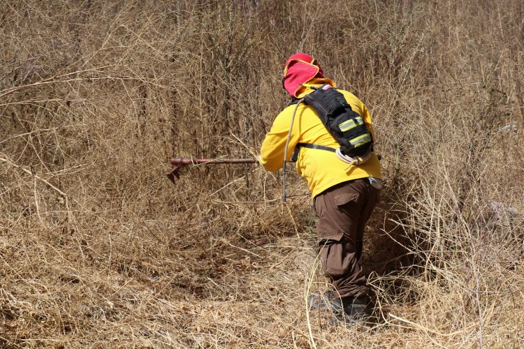 ADVIERTEN SOBRE LAS PENAS A LAS QUE SE EXPONEN QUIENES CAUSEN INCENDIOS