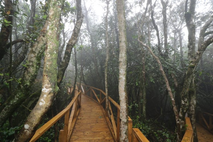 FUERTE IMPULSO AL TURISMO DE REGIÓN DE COQUIMBO GRACIAS A NUEVA INFRAESTRUCTURA DE PARQUE NACIONAL BOSQUE FRAY JORGE