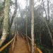 FUERTE IMPULSO AL TURISMO DE REGIÓN DE COQUIMBO GRACIAS A NUEVA INFRAESTRUCTURA DE PARQUE NACIONAL BOSQUE FRAY JORGE