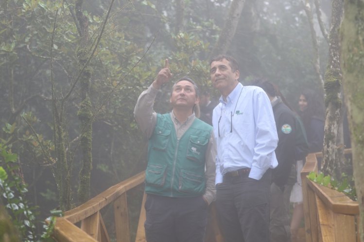 FUERTE IMPULSO AL TURISMO DE REGIÓN DE COQUIMBO GRACIAS A NUEVA INFRAESTRUCTURA DE PARQUE NACIONAL BOSQUE FRAY JORGE