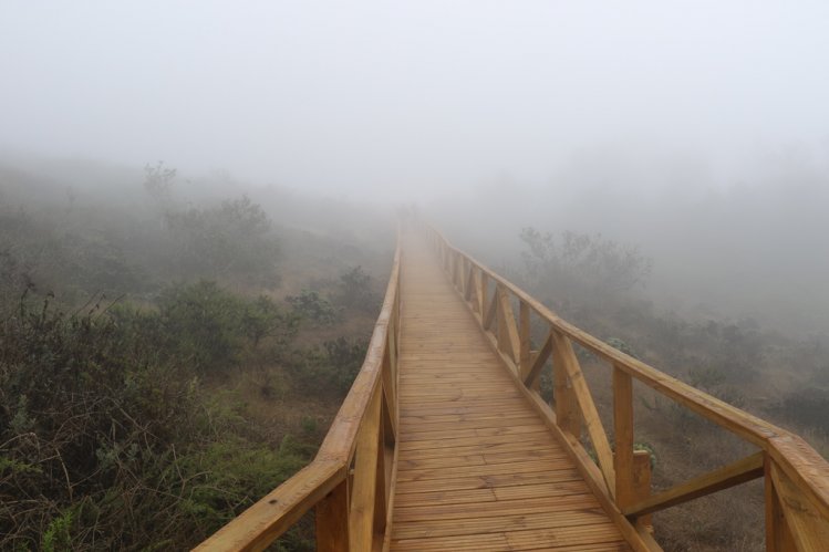 FUERTE IMPULSO AL TURISMO DE REGIÓN DE COQUIMBO GRACIAS A NUEVA INFRAESTRUCTURA DE PARQUE NACIONAL BOSQUE FRAY JORGE