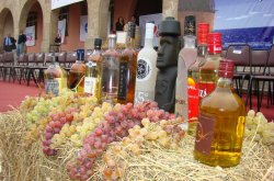 GREMIO PISQUERO RECONOCE TRABAJO DEL CONSEJO ASESOR PARA LA DENOMINACIÓN DE ORIGEN PISCO