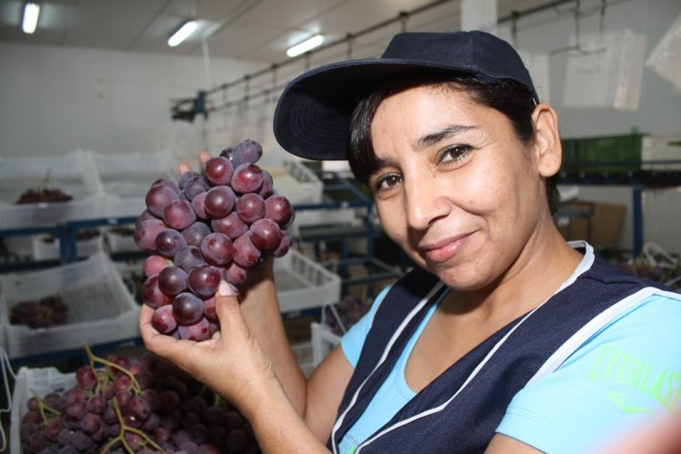 GREMIO PISQUERO RECONOCE TRABAJO DEL CONSEJO ASESOR PARA LA DENOMINACIÓN DE ORIGEN PISCO