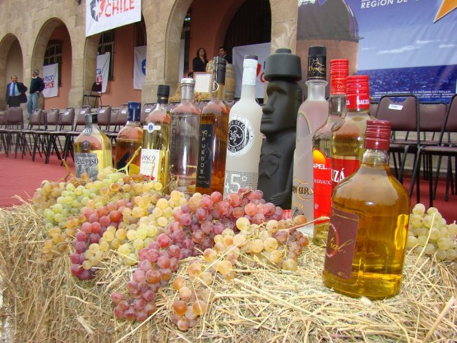 GREMIO PISQUERO RECONOCE TRABAJO DEL CONSEJO ASESOR PARA LA DENOMINACIÓN DE ORIGEN PISCO