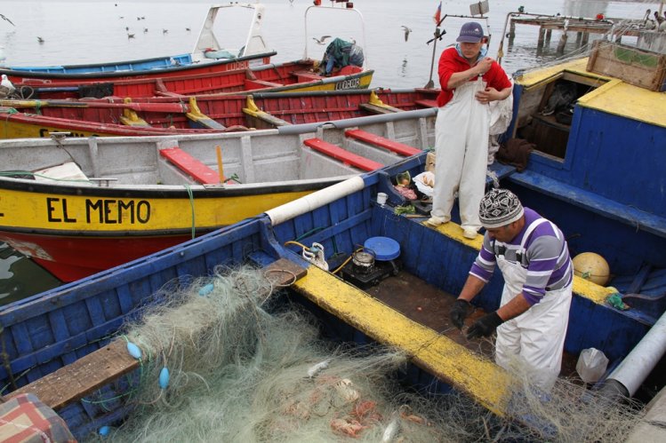 “PROPUESTA DE ÁREA MARINA COSTERA PROTEGIDA NO PROHÍBE EL DESARROLLO DE ACTIVIDADES PRODUCTIVAS”